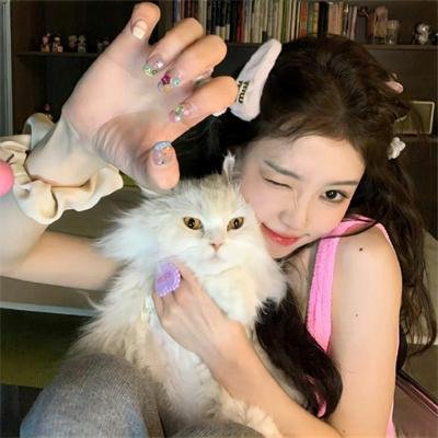 流浪猫鲍勃